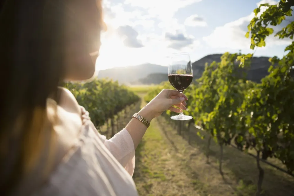 Mariage champêtre à Courlaoux